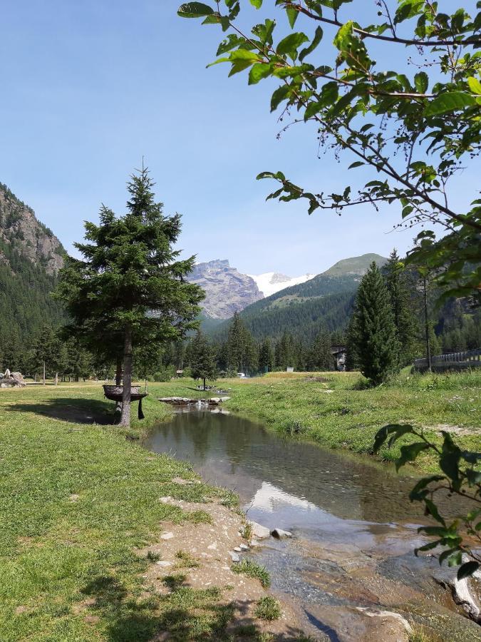 Piccola Residenza Apartment Champoluc Bagian luar foto