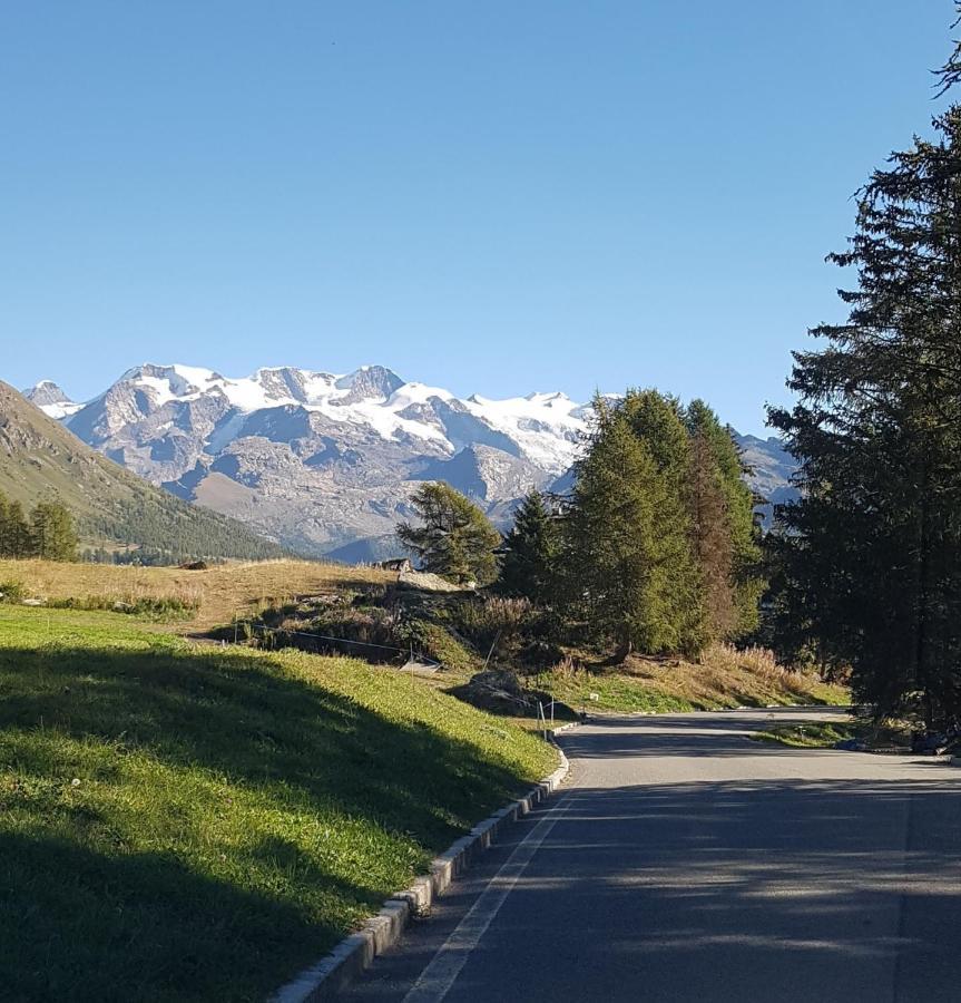 Piccola Residenza Apartment Champoluc Bagian luar foto