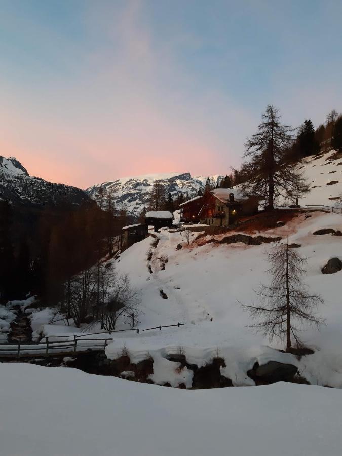 Piccola Residenza Apartment Champoluc Bagian luar foto