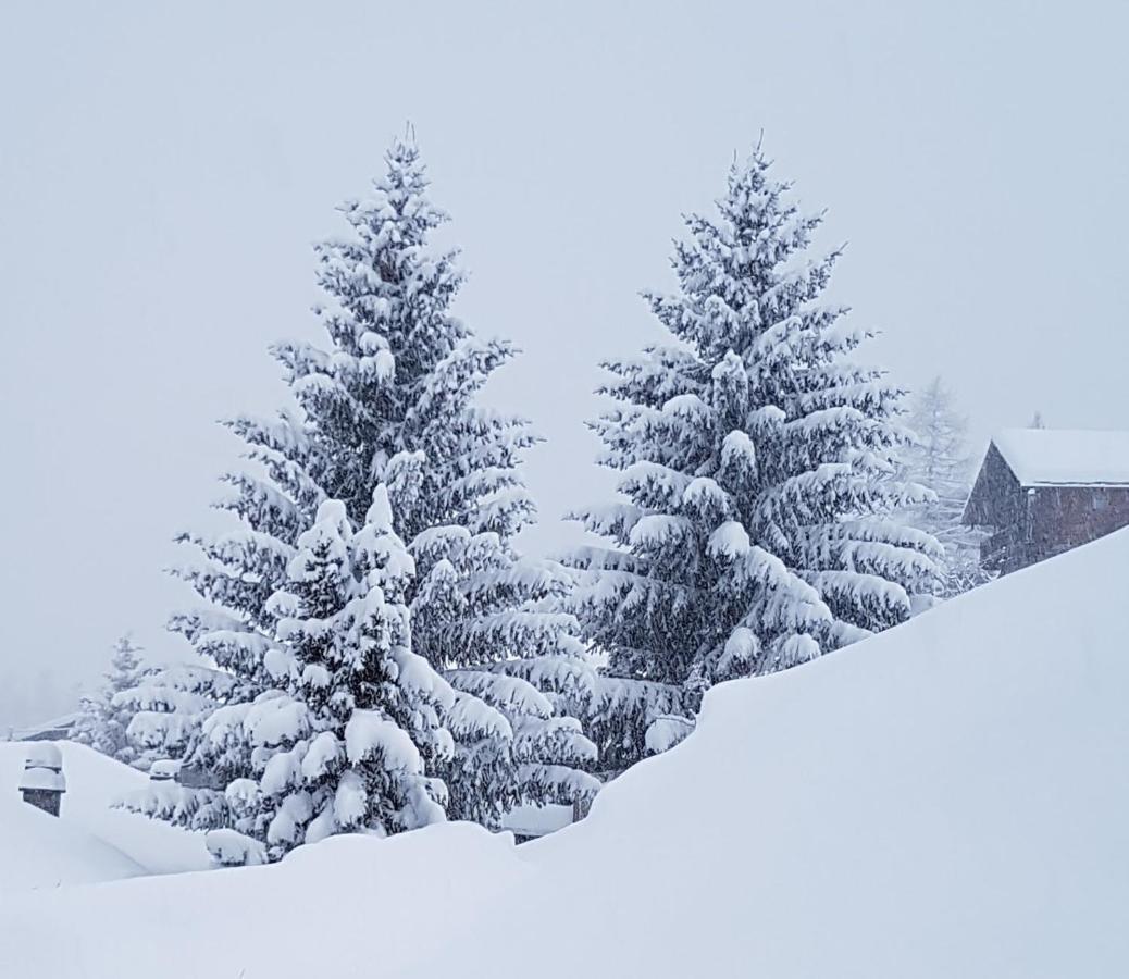 Piccola Residenza Apartment Champoluc Bagian luar foto